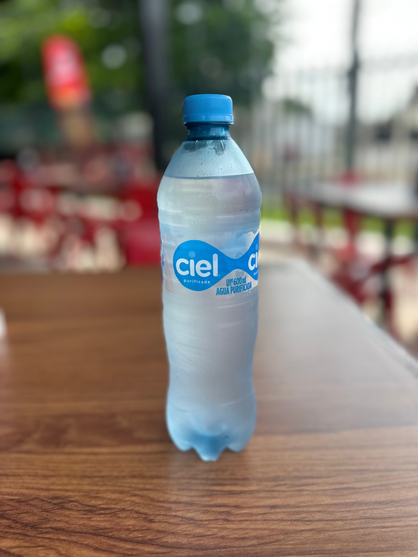 Ciel Purificada 600 ml